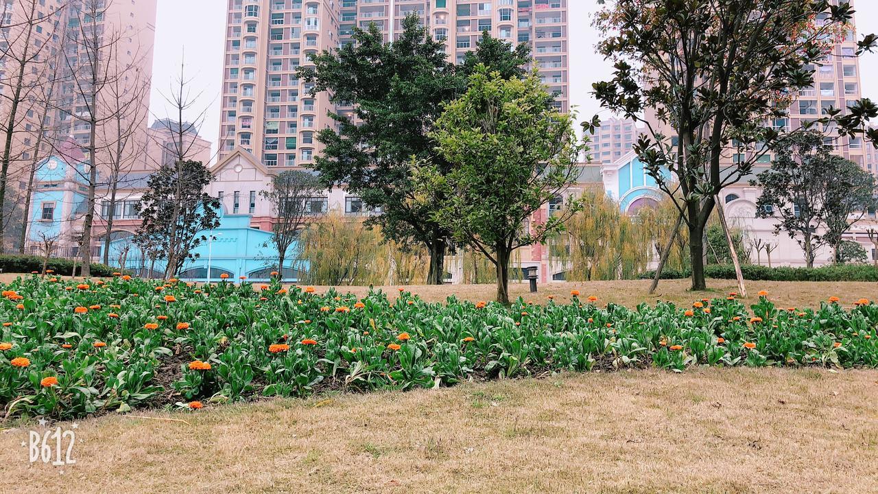 Emei Mountain Xileer Hotel Emeishan Exterior foto