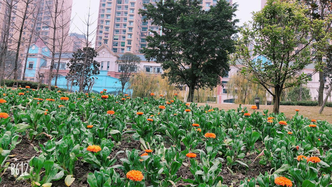Emei Mountain Xileer Hotel Emeishan Exterior foto